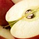 Growing an apple tree from seeds