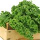 Kale cabbage