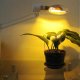 Iluminat artificial pentru plante