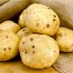 Potato pests - golden nematode