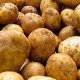 productive varieties of potatoes