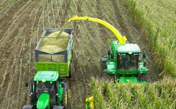 Terms and rules for harvesting corn for silage