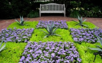 How to decorate a flower bed beautifully - some interesting ideas