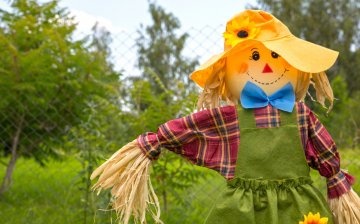 Creation of an amazing scarecrow