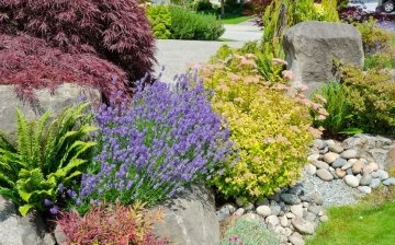 Ways to use plants in garden design