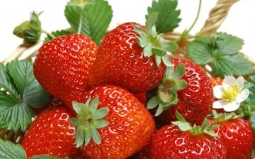 Seed strawberry