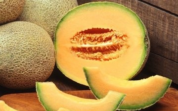 Melon cantaloupe