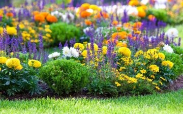 Perennial flower beds