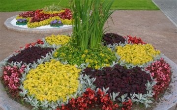 A difficult way to create an unusual flower bed