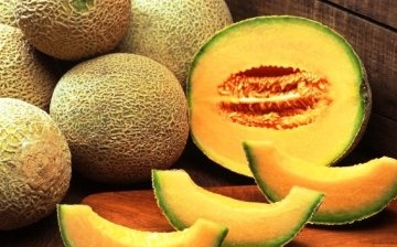 Choosing a melon variety for a greenhouse