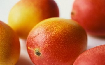 Caracteristicile mangoului ca fruct