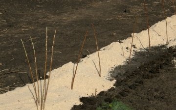 Pregătirea solului