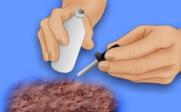 Cele mai bune metode pentru testarea acidității solului