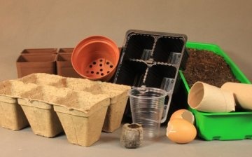 Preparing containers for seedlings