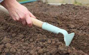 Sowing seeds directly into the ground