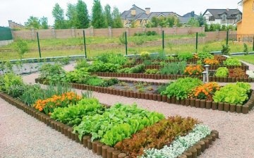 Plan de grădină