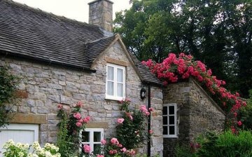Photos of beautiful blooming summer cottages