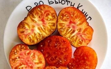 Cutaway Tomatoes Regele frumuseții