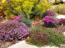 Design options for flower beds in a sunny area
