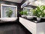 Selection of plants for a bathroom without windows