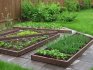 Crop rotation in a warm bed and planting dates