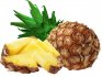 Growing pineapple