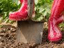 Choosing the right place for planting vegetables