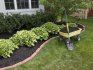 Purpose and types of garden borders