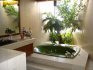 Creating conditions for indoor flowers in the bathroom