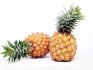Reproducerea ananasului