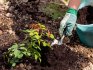 Breeding methods, plant planting rules