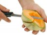 Properties of cantaloupe melon