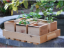 Cutiile din lemn sunt o altă soluție pentru plantarea răsadurilor