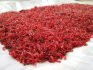 How to breed bloodworms