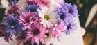 Chrysanthemum Bouquet