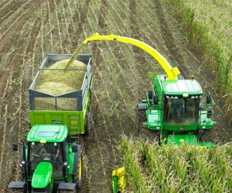 Terms and rules for harvesting corn for silage