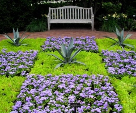 How to decorate a flower bed beautifully - some interesting ideas