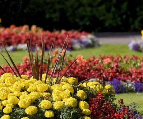Simple ways to create an unusual flower bed