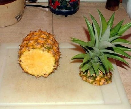 Choosing a pineapple for growing