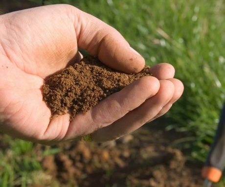 Conceptul de aciditate a solului, tipurile sale, rata