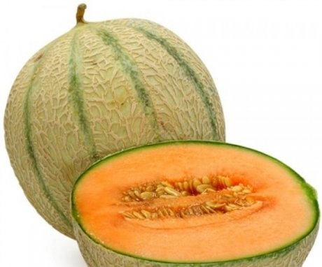 Description of cantaloupe melon