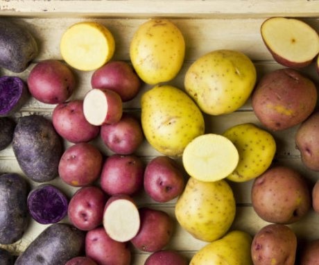 What varieties of potatoes to choose?
