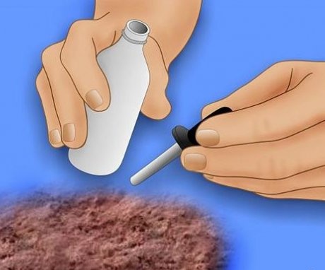 Cele mai bune metode pentru testarea acidității solului
