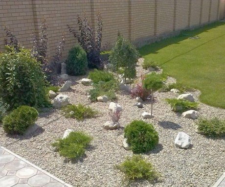 Types and styles of rocky garden