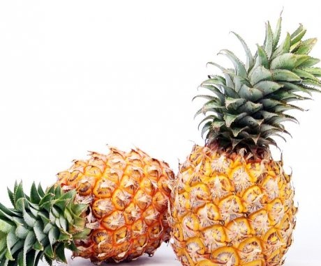 Reproduction of pineapple