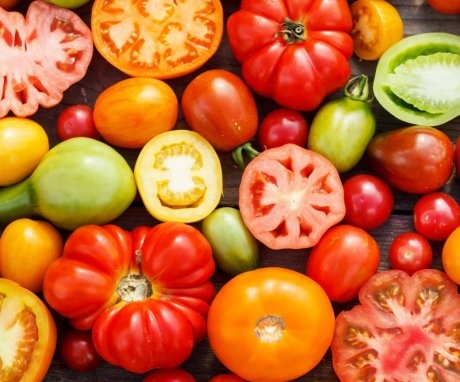Popular varieties of tomatoes for growing