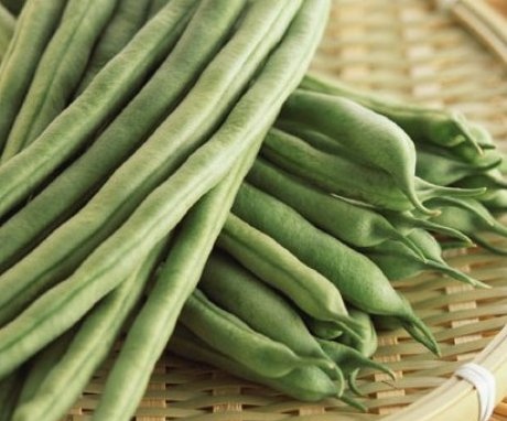 Description of green beans