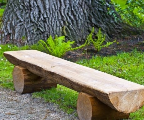 Interesting ideas for benches from a log without nails