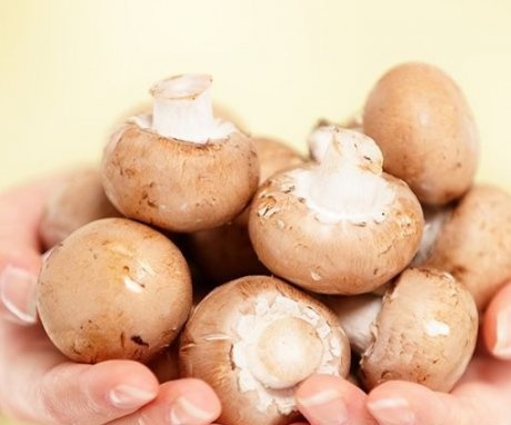 How to choose quality champignons